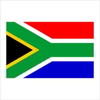 The flag of south africa vector