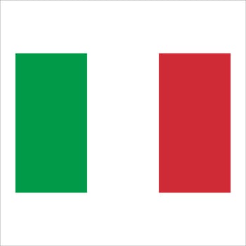 The flag of italy vector