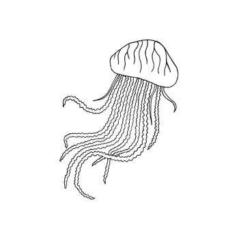 Hand drawn doodle sketch jelly fish isolated on white background vector