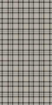 Subtle neutral plaid pattern, perfect for textile design, website backgrounds, or fashion projects. Evokes a feeling of calm sophistication and understated elegance. vector