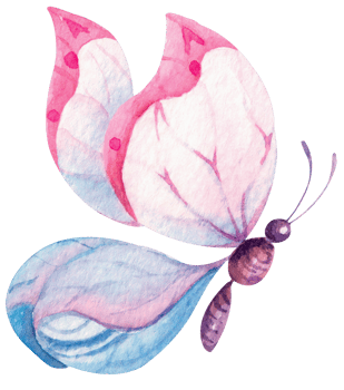Pink butterfly. Hand painted with watercolor. Insect pollination. png