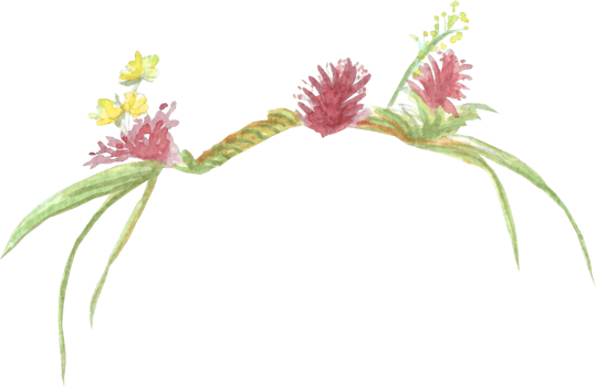 Flower Crown with variety colors and leaves that is drawn and painted by hand in watercolor fine art style png