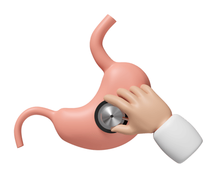 3d doctor hand holding stethoscope with realistic human stomach isolated. check stomach health, organs concept, 3d illustration render png