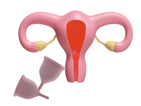 3d uterus model with menstrual cup isolated. menstruation cup reusable concept, 3d illustration render png