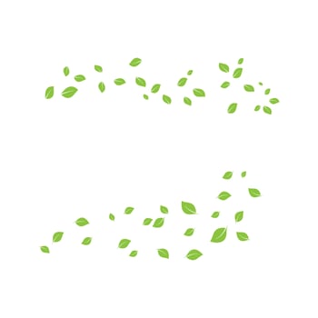 Green leaves on a white background design vector