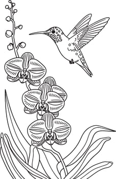 humming bird flying eating in nature line art vector