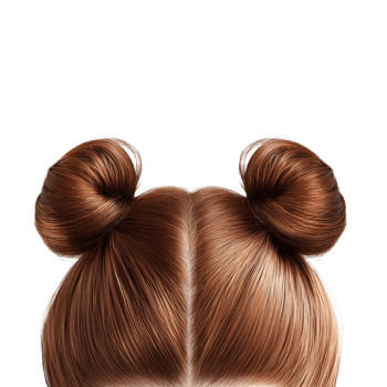 A whimsical hairstyle featuring symmetrical buns, showcasing a playful and creative aesthetic png