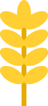 Yellow ear paddy rice icon png