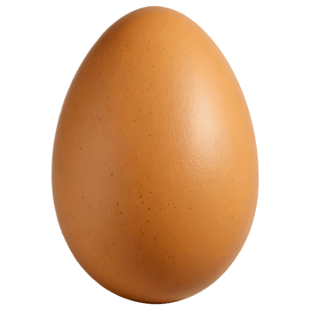An egg is shown png