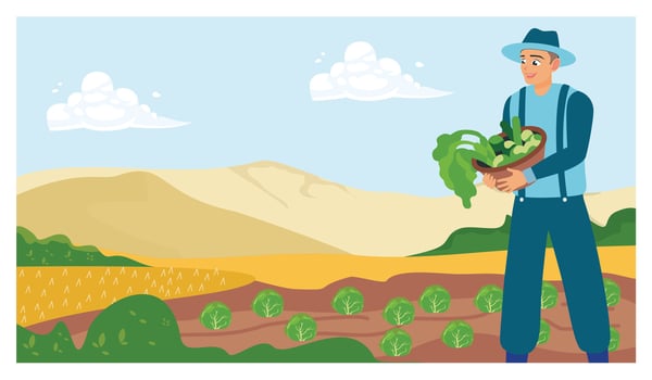 A farmer picks vegetables in a farm field. vector
