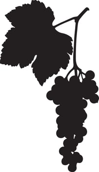 Grapes illustration silhouette vector