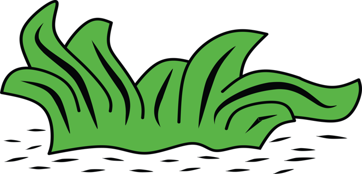 Bright Green Cartoon Grass Bush with Curved Blades on Transparent Background png