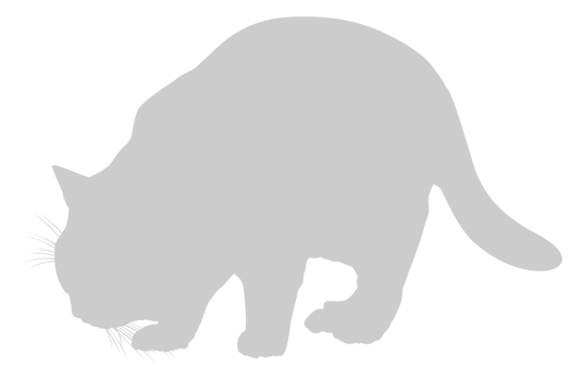 Cat Silhouette. can use for Logo, Pictogram, Apps, Website, Cover, etc. png