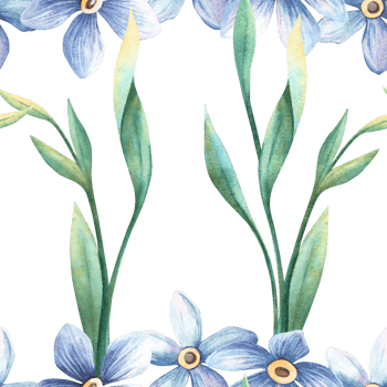 Spring elegant floral seamless pattern - forget-me-not blue flowers with green foliage. Hand-painted watercolor illustration of botanical branches. Ideal for vintage fabrics, romantic background png