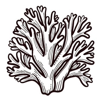 Detailed drawing of a coral branch in black and white vector