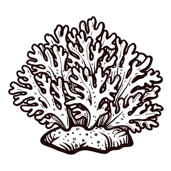 Intricate black and white coral with organic details and natural patterns vector
