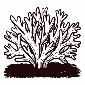 Detailed line art of coral reef plant with intricate branch patterns in black and white vector
