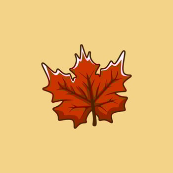 A cute and simple cartoon illustration of a maple leaf vector