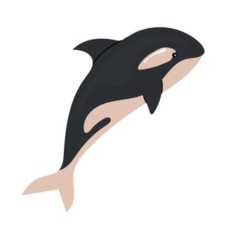 Killer whale icon clipart avatar logotype isolated illustration vector