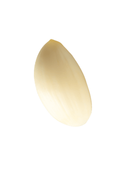 Side view of single peeled garlic clove or piece isolated with clipping path in file format png