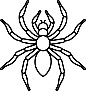 Arachnid Outline. Spider with Eight Legs and Simple Details Isolated on White Background vector