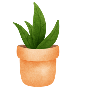 plant in a pot on transparent background png