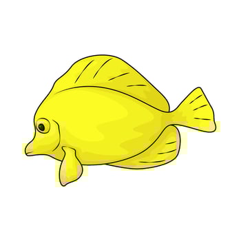 tropical yellow fish vector