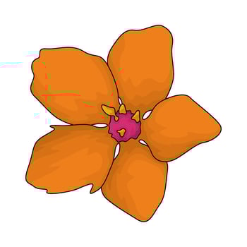 fresh orange flower vector