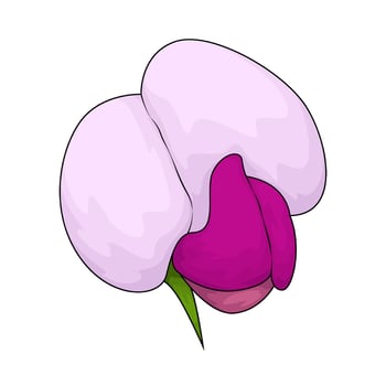 fresh pink flower vector