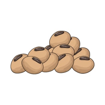 nature soybean illustration vector