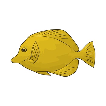 illustration of a tropical fish vector