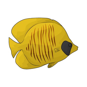 tropical fish illustration vector