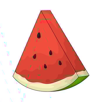 watermelon slices illustration vector