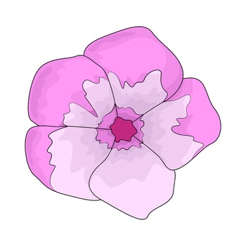 fresh pinky flower illustration vector