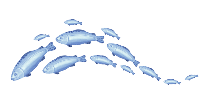 Flock of blue fish in wave shape watercolor illustration for kids design. Hand drawn isolated of cute marine swimming animal character. Underwater ocean inhabitants in cartoon style for baby textile. png