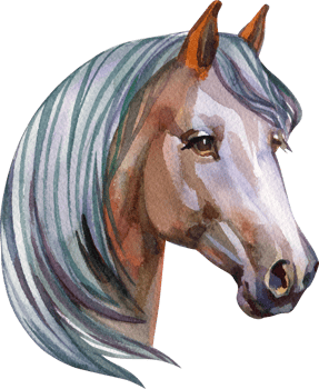 Watercolor Horse Farm Animal Portrait Hand Painted Illustration png
