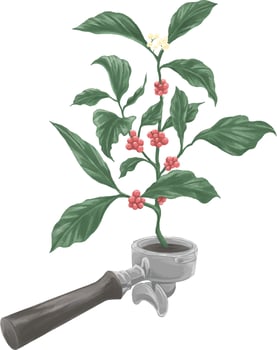 Colored drawing painting of portafilter with coffee plant vector