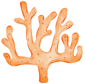 Orange coral sea animal png