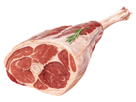 Raw thigh of the turkey png
