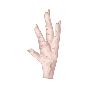 Illustration of chicken feet vector