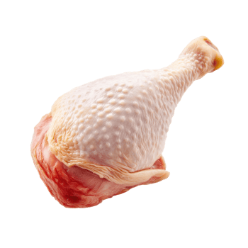 Raw Chicken Drumstick Isolated On Transparent Background png