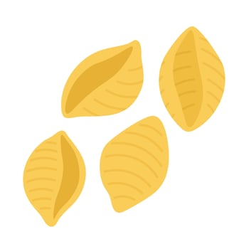 Cartoon conchiglie pasta shells isolated on white background, flat food style illustration. vector