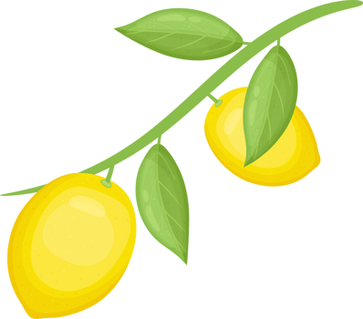 Lemon Branch with Leaves. Bright and cheerful summer harvest. png