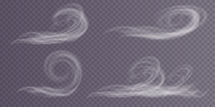 The effects of winter blizzard winds can be mesmerizing, with swirling snow creating a dynamic and abstract atmosphere vector