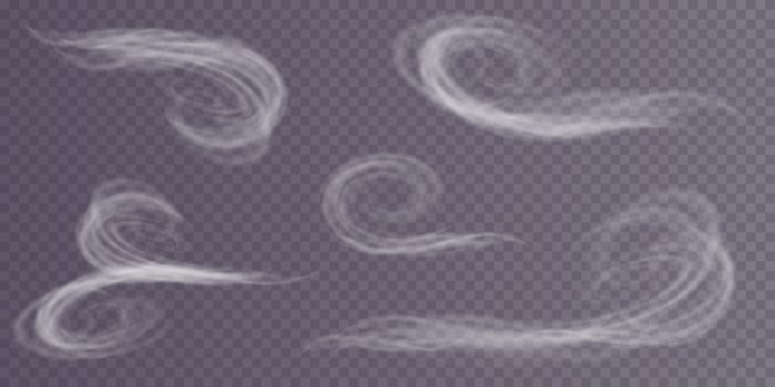 Effects of a Winter Blizzard Swirling Winds and Snow Creating a Unique Atmosphere and Aesthetic Environment vector