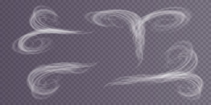 Dynamic Wind Swirls Create Breathtaking and Stunning Winter Blizzardlike Effects for Visual Art and Design Exploration vector