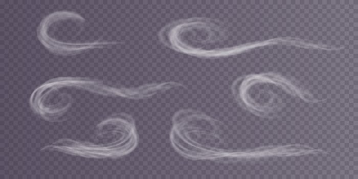 A Winter Blizzard Displaying Beautiful, Swirling Patterns of Snowflakes and Soft, Chilly Wind Effects vector