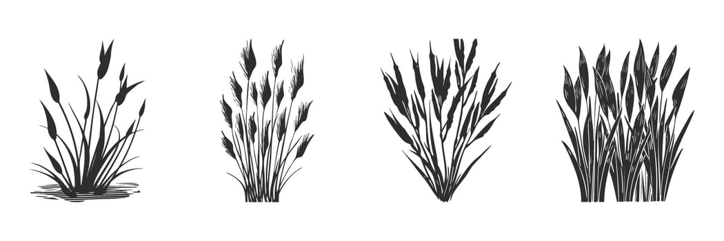 Silhouette Of Cattail And Reed Plants Set. Natural Wetland Vegetation Illustrations Isolated Collection vector