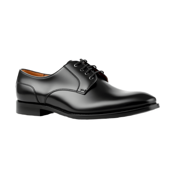 Polished Dress Shoe png