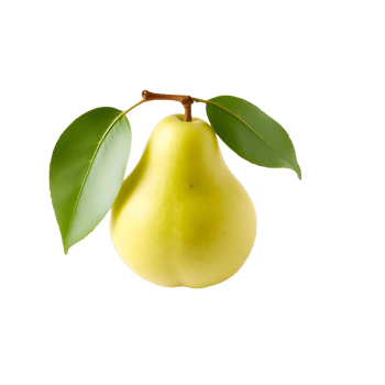 Fresh Green Pear png